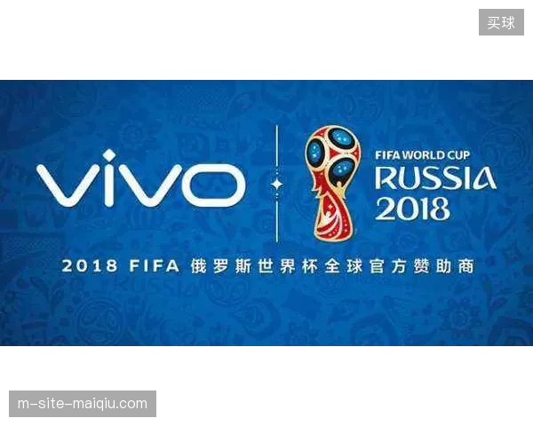 欧洲区世界杯赞助商如何排查用户个人信息跨境流动隐患